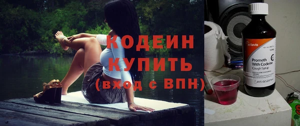 индика Козловка