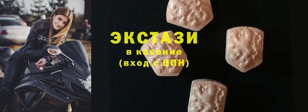индика Козловка