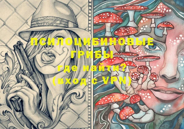 spice Кодинск